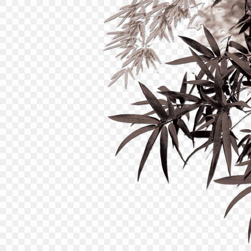 Bamboo Bamboe Leaf Computer File, PNG, 1501x1501px, Bamboo, Bamboe, Bamboo Textile, Bambusa Vulgaris, Black And White Download Free