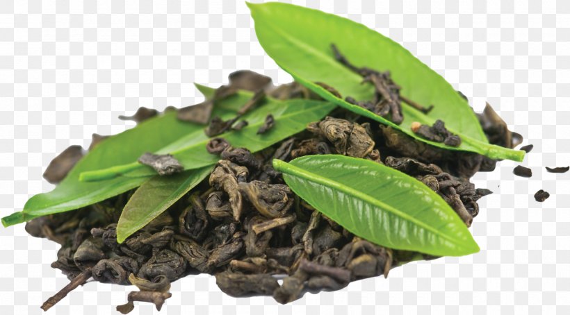 Coffee Bean Green Tea Black Tea, PNG, 1800x997px, Coffee, Assam Tea, Bai Mudan, Black Tea, Coffee Bean Download Free