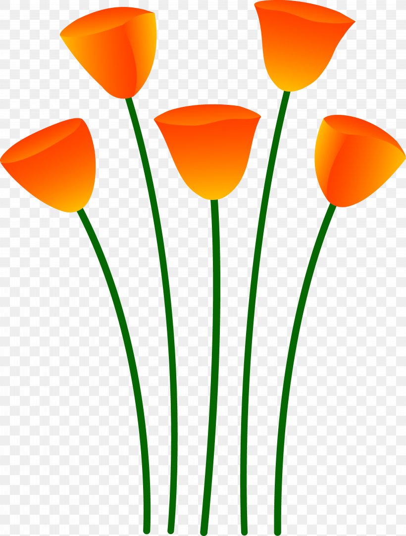 Flower Poppy Orange Clip Art, PNG, 5992x7919px, Flower, Blume, California Poppy, Drawing, Flowering Plant Download Free