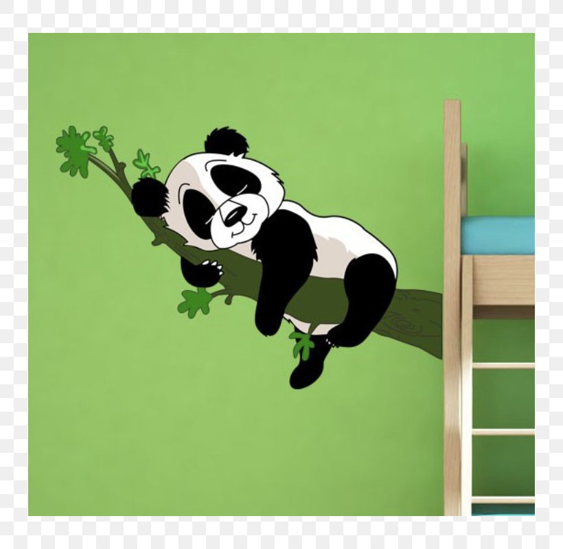Giant Panda Wall Decal Sticker Bear, PNG, 800x800px, Giant Panda, Adhesive, Ball, Bear, Carnivoran Download Free