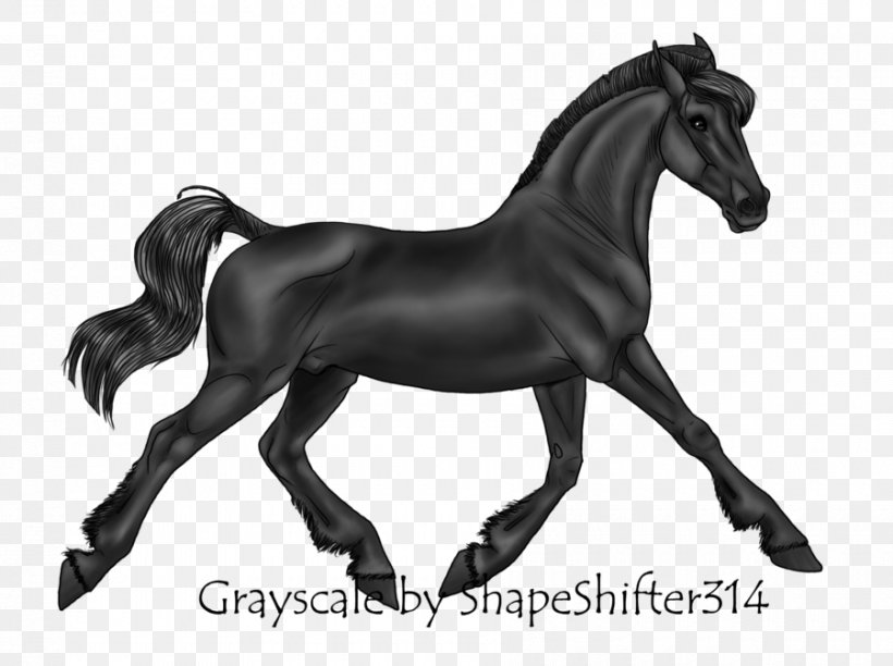 Stallion Mustang Pony Foal Mare, PNG, 900x672px, Stallion, Animal Figure, Black And White, Bridle, Colt Download Free