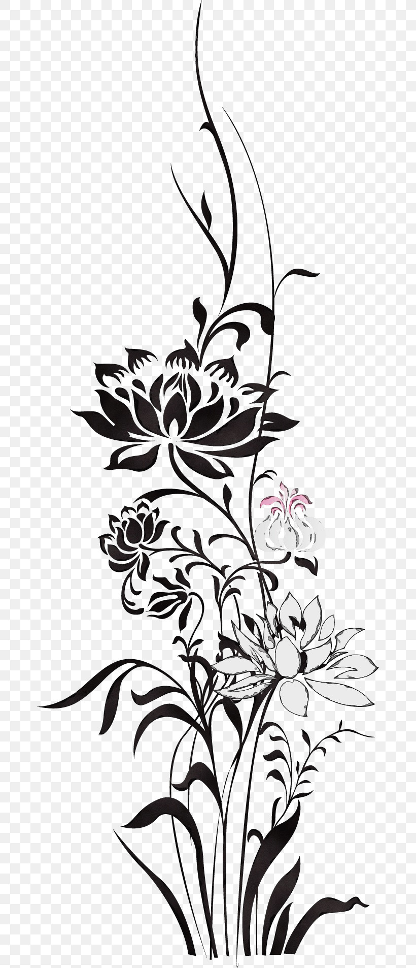 Floral Design, PNG, 674x1906px, Flower Border, Blackandwhite, Floral Design, Floral Line, Flower Download Free