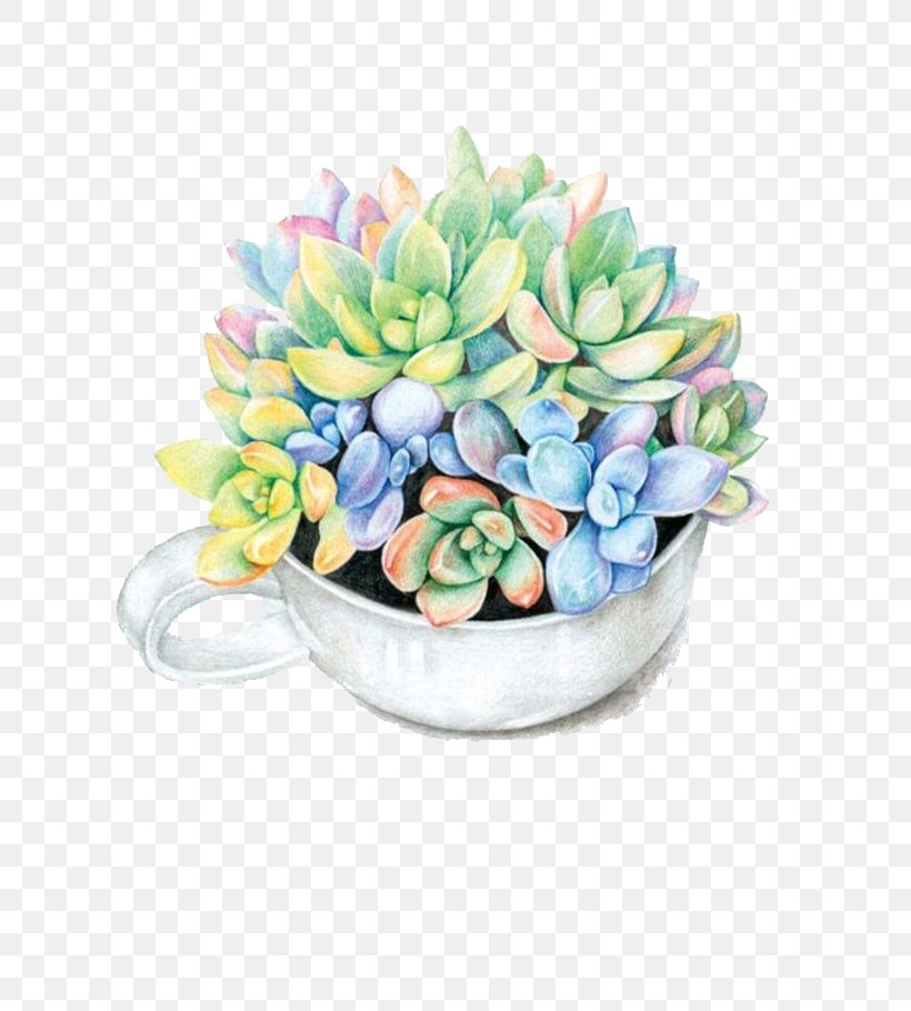 Paper Colored Pencil Succulent Plant Watercolor Painting Drawing, PNG, 700x910px, Paper, Colored Pencil, Cut Flowers, Drawing, Floral Design Download Free