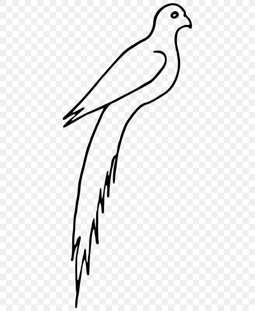Beak Frigatebird Clip Art, PNG, 425x1000px, Beak, Bird, Black And White, Branch, Drawing Download Free