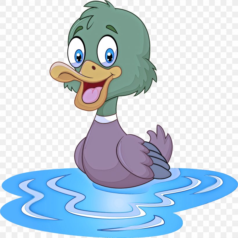 Duck Cartoon Bird Ducks, Geese And Swans Water Bird, PNG, 2998x3000px, Duck, Animation, Beak, Bird, Cartoon Download Free