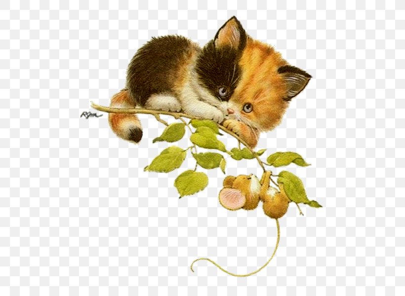Kitten Whiskers Cat Mouse Clip Art, PNG, 511x600px, Kitten, Art, Calico Cat, Carnivoran, Cat Download Free