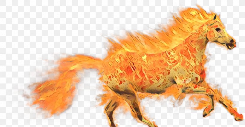 Mustang Snout Yonni Meyer Horse, PNG, 1024x533px, Mustang, Animal Figure, Flame, Horse, Organism Download Free