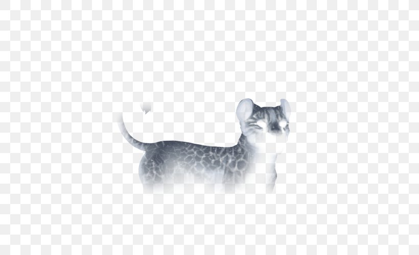 Whiskers Puppy Cat Dog Lion, PNG, 640x500px, Whiskers, Body Jewelry, Carnivoran, Cat, Cat Like Mammal Download Free