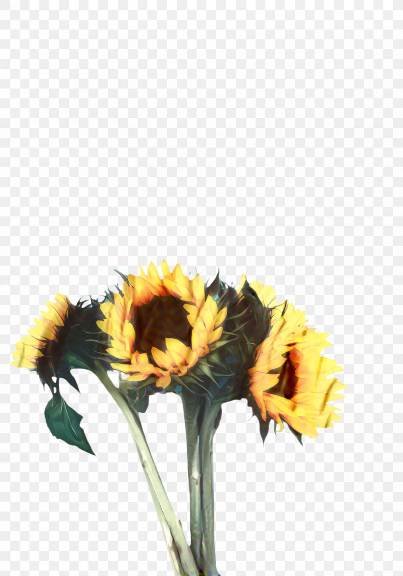 Floral Flower Background, PNG, 1672x2389px, Sunflower, Artificial Flower, Bloom, Calendula, Common Sunflower Download Free