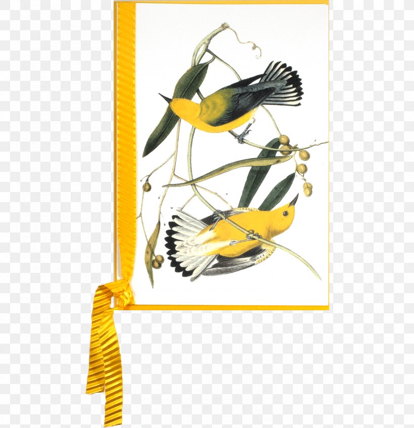 The Birds Of America New World Warbler National Audubon Society Audubon Bird Prints: A Portfolio Of 6 Self-Matted Full Color Prints, PNG, 1600x1654px, Birds Of America, Art, Bird, Butterfly, Insect Download Free