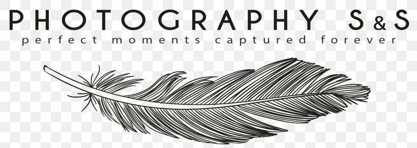 Tolyatti Responsive Web Design Photography Photographer, PNG, 2034x722px, Tolyatti, Black And White, Creativity, Eyelash, Hobby Download Free