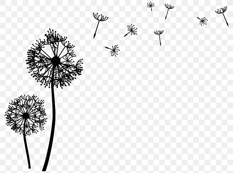 Wall Decal Drawing Photography, PNG, 800x607px, Wall Decal, Black And White, Branch, Cut Flowers, Dandelion Download Free