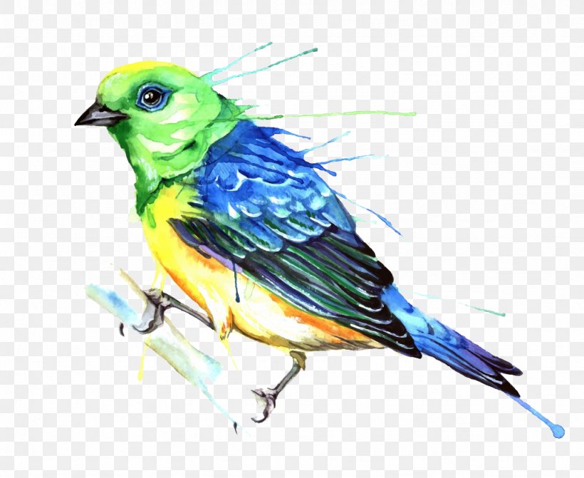 Bird Watercolor Painting Photography Illustration, PNG, 1024x838px, Bird, Art, Beak, Bluebird, Color Download Free