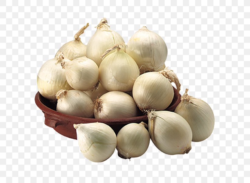 Cipolla Di Cannara Assisi Yellow Onion Spello, PNG, 600x600px, Assisi, Elephant Garlic, Farm Stay, Food, Garlic Download Free