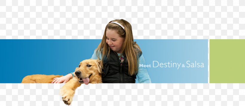 Dog Breed Puppy Retriever Through A Dog's Eyes, PNG, 960x419px, Dog Breed, Behavior, Breed, Carnivoran, Documentary Film Download Free