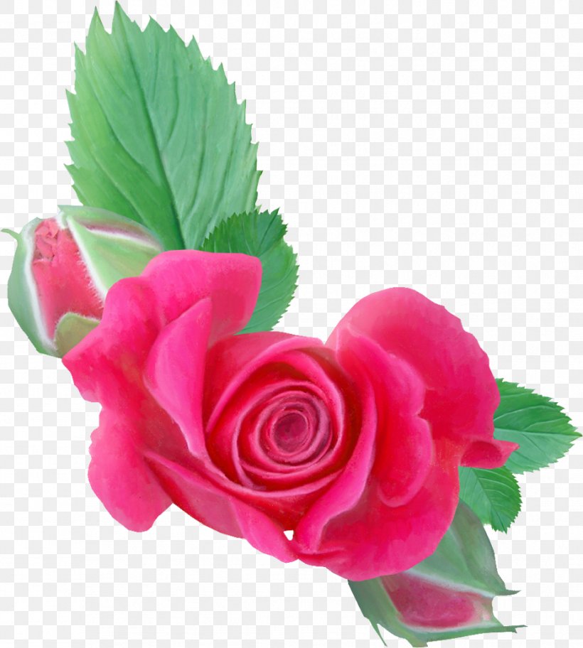 Garden Roses Cut Flowers, PNG, 929x1034px, Garden Roses, Artificial Flower, Begonia, Carnation, Centifolia Roses Download Free