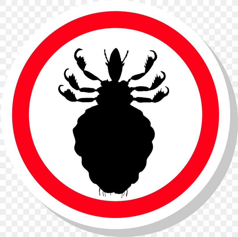Head Louse Stock Photography, PNG, 1673x1667px, Louse, Artwork, Black And White, Brand, Depositphotos Download Free