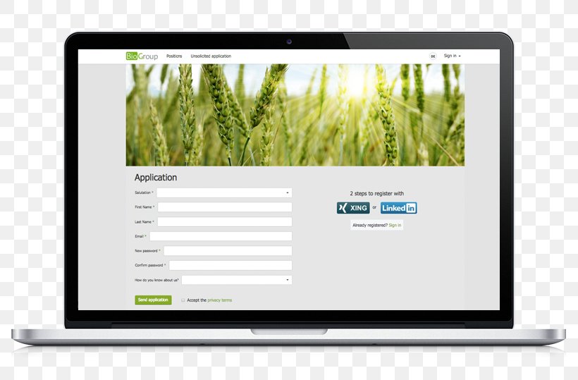 Multimedia Brand Grasses, PNG, 787x539px, Multimedia, Brand, Computer Monitor, Computer Monitors, Grass Download Free