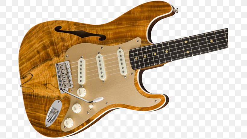 Fender Stratocaster Fender Telecaster Thinline Fender Custom Shop Fender Musical Instruments Corporation, PNG, 700x462px, Fender Stratocaster, Acoustic Electric Guitar, Acoustic Guitar, Bass Guitar, Electric Guitar Download Free