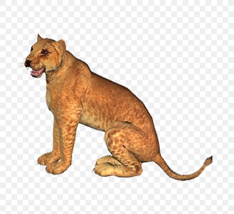 Lion Download Tiger Computer File, PNG, 750x750px, Lion, Big Cat, Big Cats, Carnivoran, Cat Like Mammal Download Free