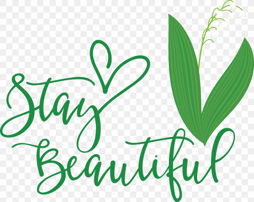 Stay Beautiful Fashion, PNG, 3000x2396px, Stay Beautiful, Fashion, Grasses, Green, Leaf Download Free