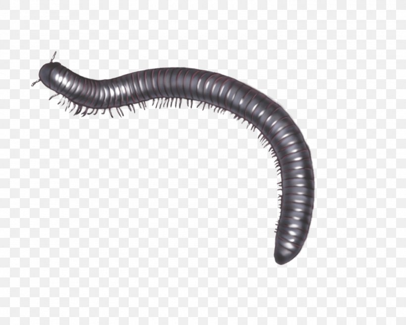 Centipedes And Millipedes Arthropod Beetle, PNG, 1500x1200px, Millipedes, Archispirostreptus Gigas, Arthropod, Arthropod Leg, Auto Part Download Free