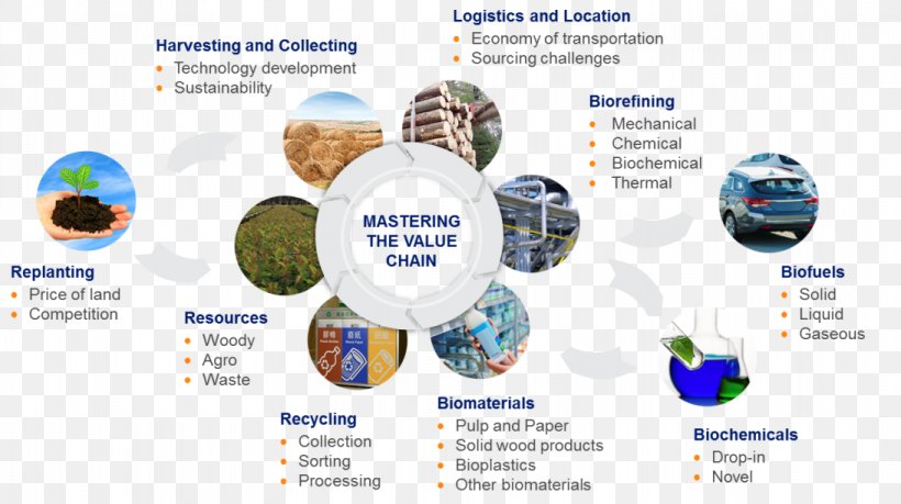 Pulp Value Chain Paper Supply Chain Biobased Economy, PNG, 1093x612px, Pulp, Biobased Economy, Biofuel, Bioplastic, Biorefinery Download Free