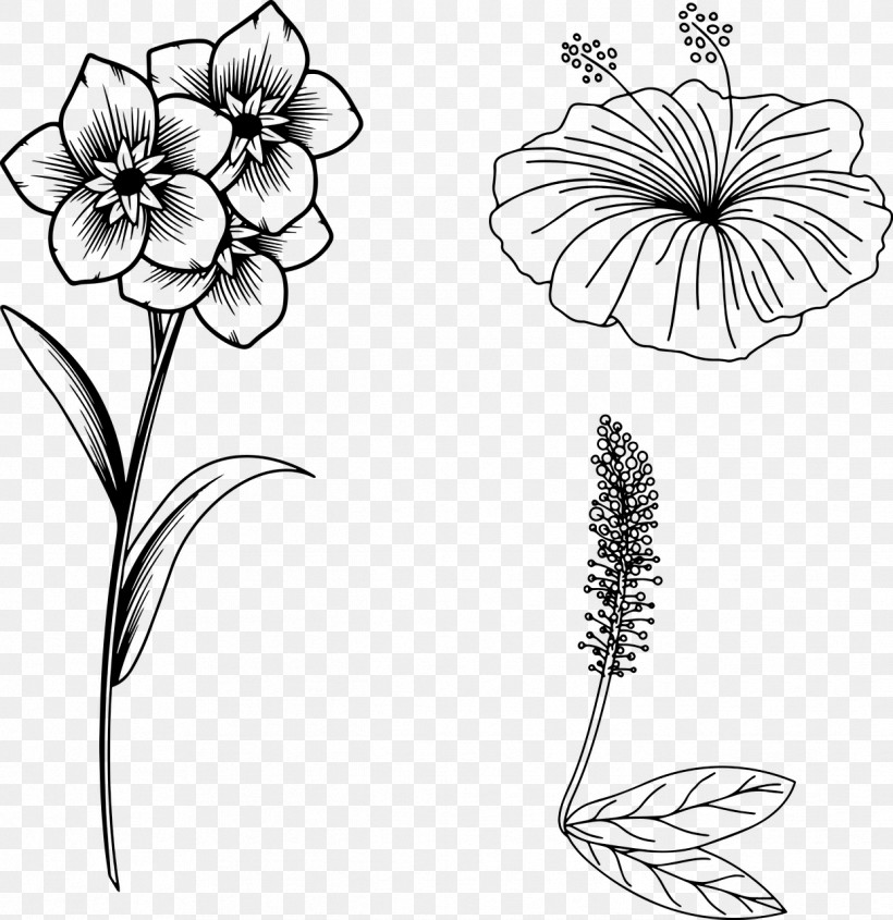 Floral Design, PNG, 1242x1280px, Plant Stem, Coloring Book, Cut Flowers, Floral Design, Flower Download Free