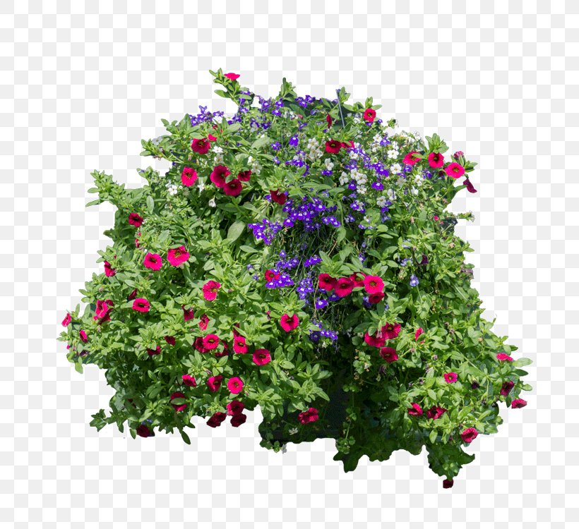 Flower Garden Plant Shrub Artificial Flower, PNG, 750x750px, Flower, Annual Plant, Artificial Flower, Basket, Flora Download Free