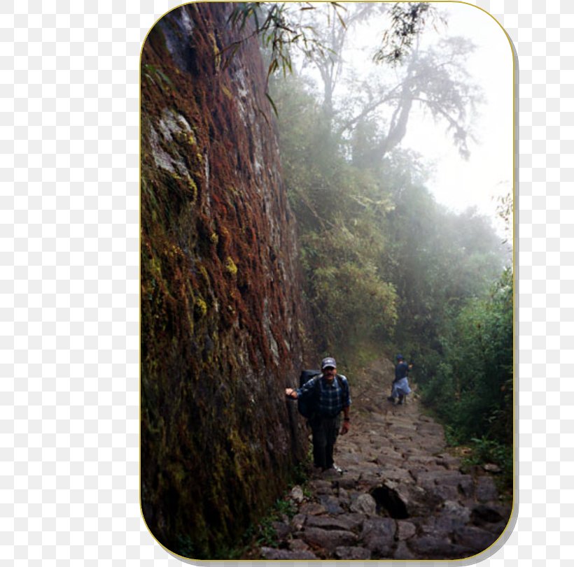 Inca Trail To Machu Picchu Inca Road System Inca Empire Inti Punku, PNG, 664x811px, Inca Trail To Machu Picchu, Apu, Cusco, Escarpment, Forest Download Free