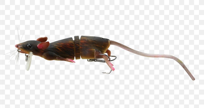 Northern Pike Fishing Baits & Lures Cabela's Canadian Headquarters Topwater Fishing Lure, PNG, 2047x1085px, Northern Pike, Arthropod, Bait, Barracuda, Beetle Download Free