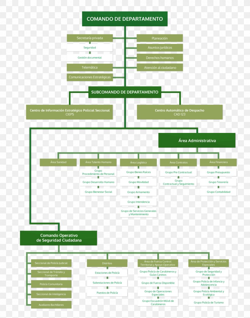 Organizational Chart Police Business Caldas Department, PNG, 1400x1782px, Organizational Chart, Area, Brand, Business, Caldas Department Download Free