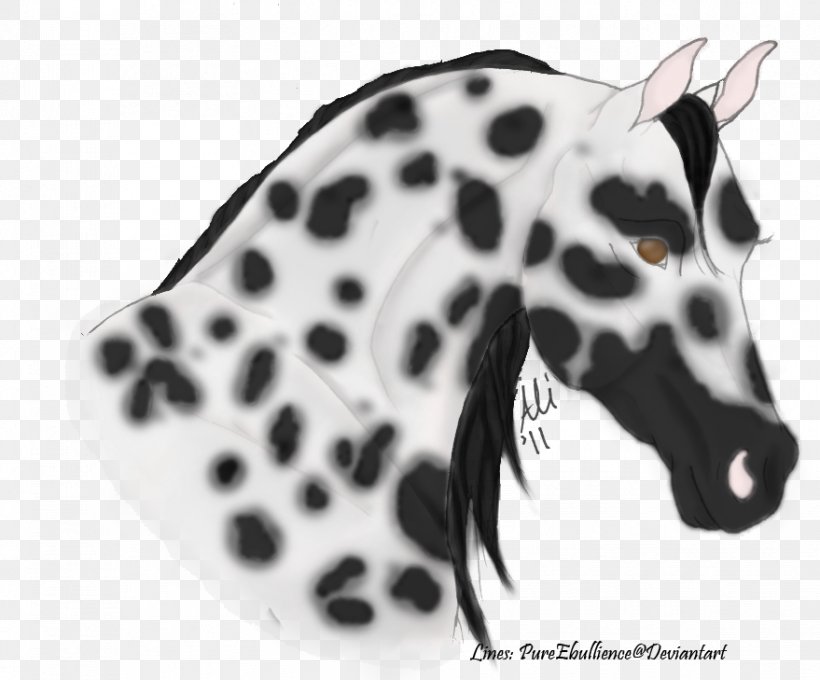 Dalmatian Dog Appaloosa Tiger Horse Dog Breed Puppy, PNG, 879x729px ...