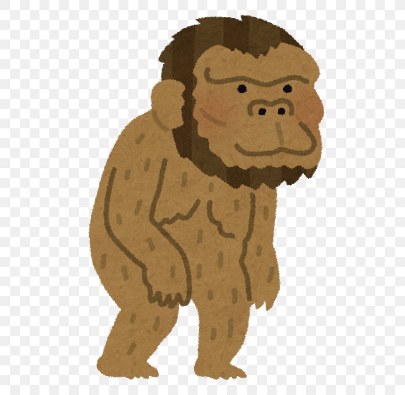 Human Evolution Southern Ape Homo Sapiens Neanderthal, PNG, 649x800px, Human Evolution, Australopithecine, Big Cats, Biology, Bipedalism Download Free