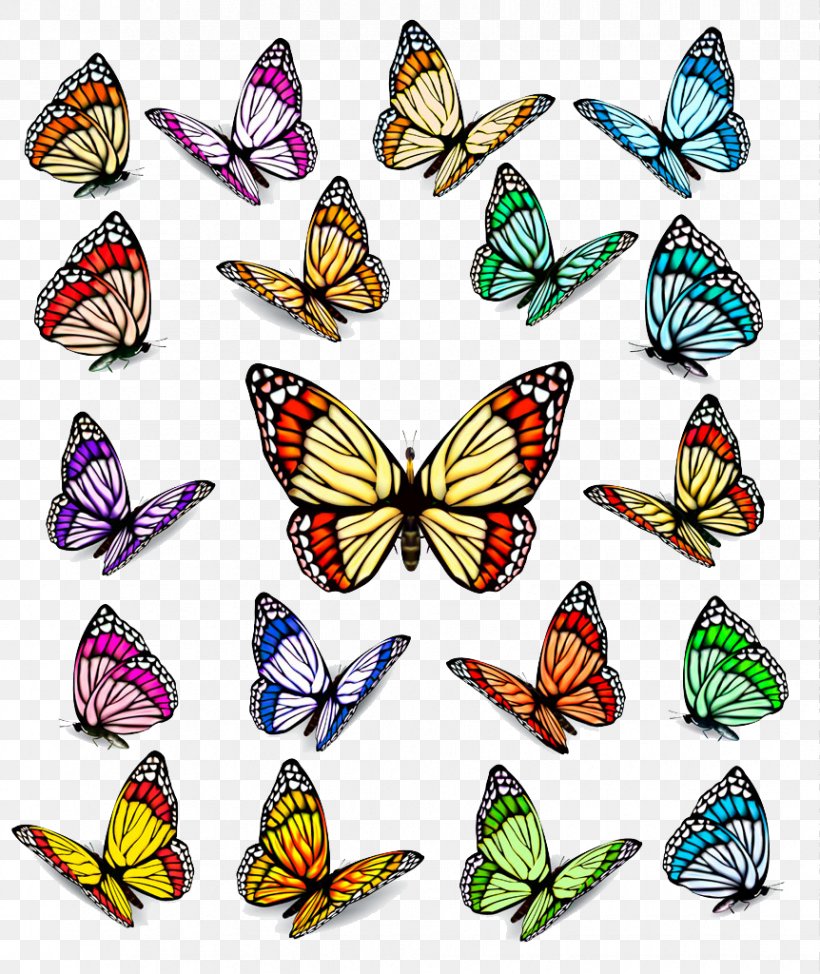 Royalty-free Euclidean Vector Stock Photography Illustration, PNG, 862x1024px, Royaltyfree, Abstract Art, Brush Footed Butterfly, Butterfly, Color Download Free