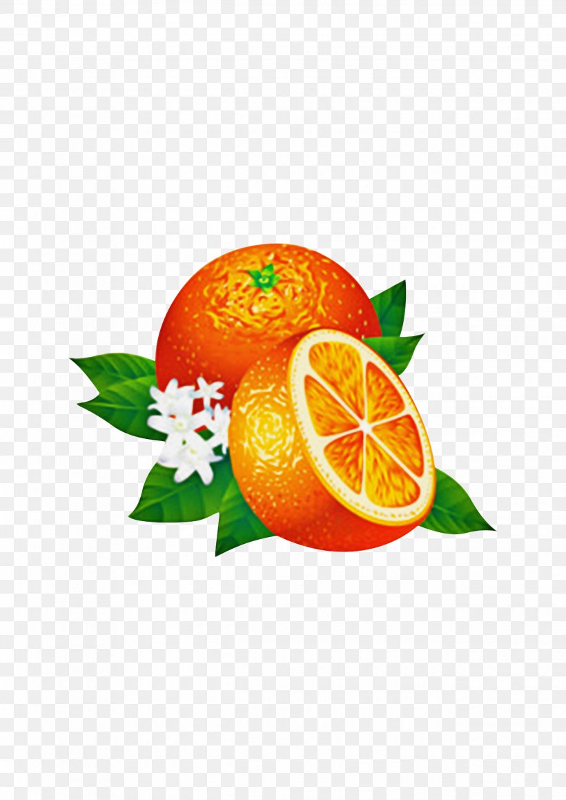 Background Orange, PNG, 2480x3508px, Blood Orange, Bitter Orange, Brandy, Calamondin, Citric Acid Download Free