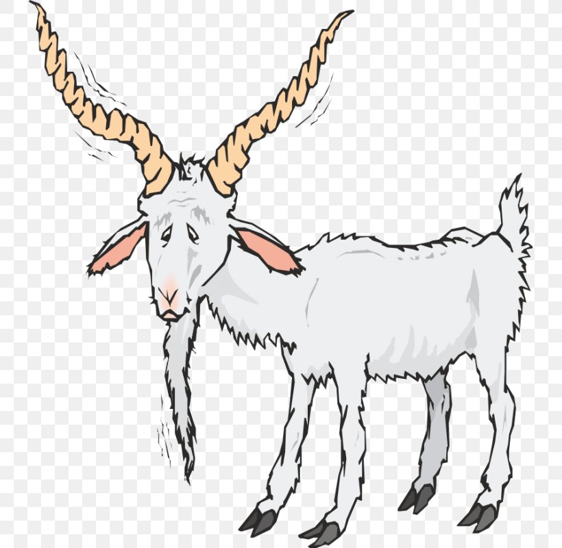 Boer Goat Sheep Clip Art, PNG, 800x800px, Boer Goat, Animal Figure, Antelope, Blog, Cartoon Download Free