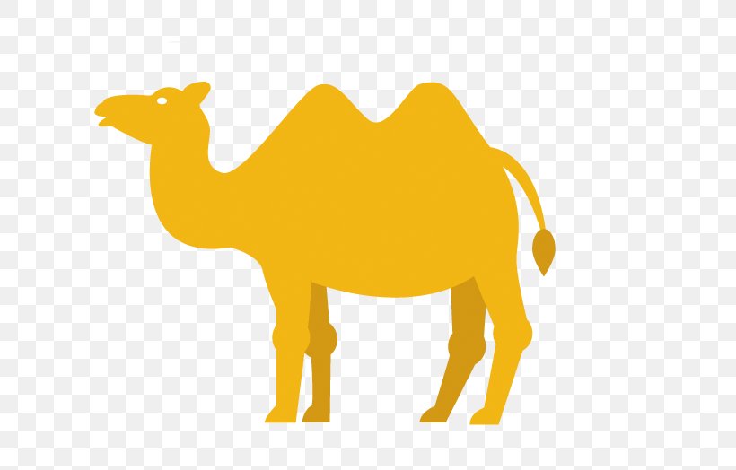 Dromedary Youssoufia Berrechid Logo, PNG, 682x524px, Dromedary, Arabian Camel, Camel, Camel Like Mammal, Livestock Download Free