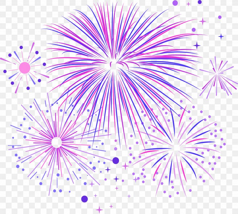 Fireworks Violet Purple, PNG, 2795x2521px, Fireworks, Artificier, Drawing, Flower, Flowering Plant Download Free