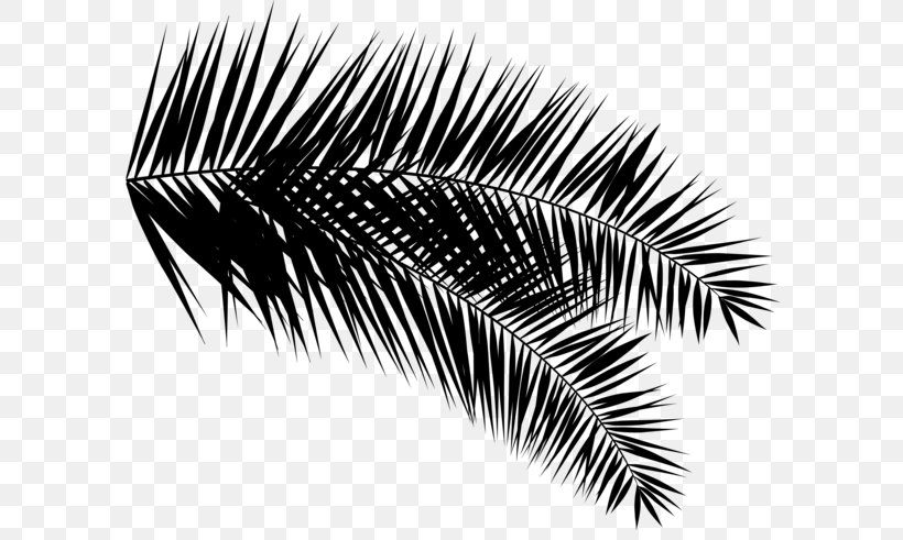 Palm Trees Eyelash, PNG, 600x491px, Watercolor, Cartoon, Flower, Frame, Heart Download Free