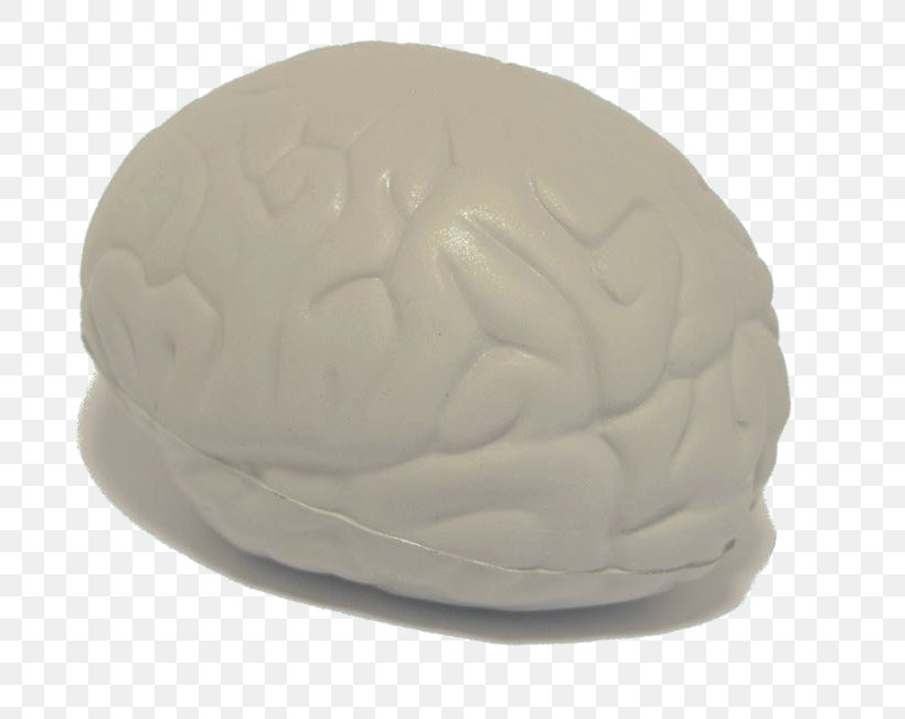 Stress Ball Brain Toy, PNG, 742x651px, Watercolor, Cartoon, Flower, Frame, Heart Download Free