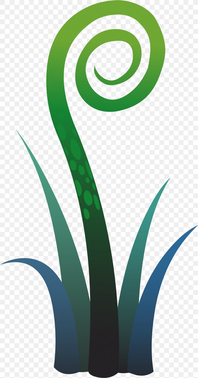 Tree Fern Plants Vascular Plant Clip Art, PNG, 1209x2307px, Fern, Aqua, Grasses, Green, Leaf Download Free