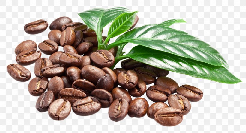 Coffee Bean Espresso Caffè Macchiato, PNG, 1024x557px, Coffee, Arabica Coffee, Bean, Caffeine, Cocoa Bean Download Free
