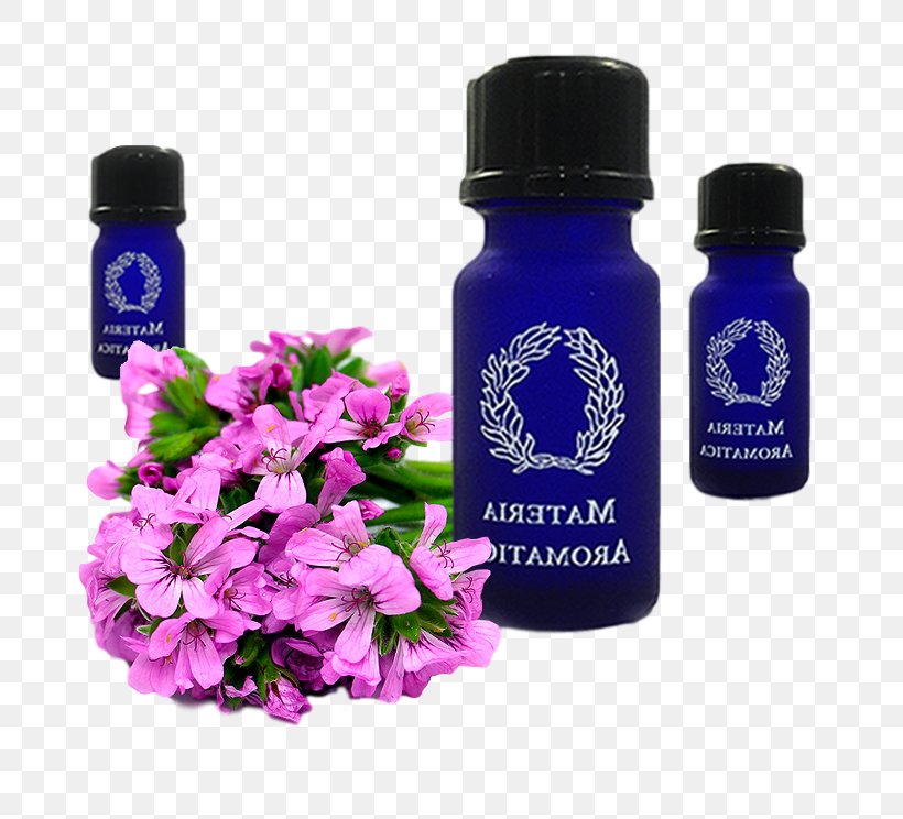 Essential Oil Aromatherapy Glass Bottle Liquid Materia Aromatica, PNG, 744x744px, Essential Oil, Aromatherapy, Bottle, Cobalt Blue, Esotericism Download Free