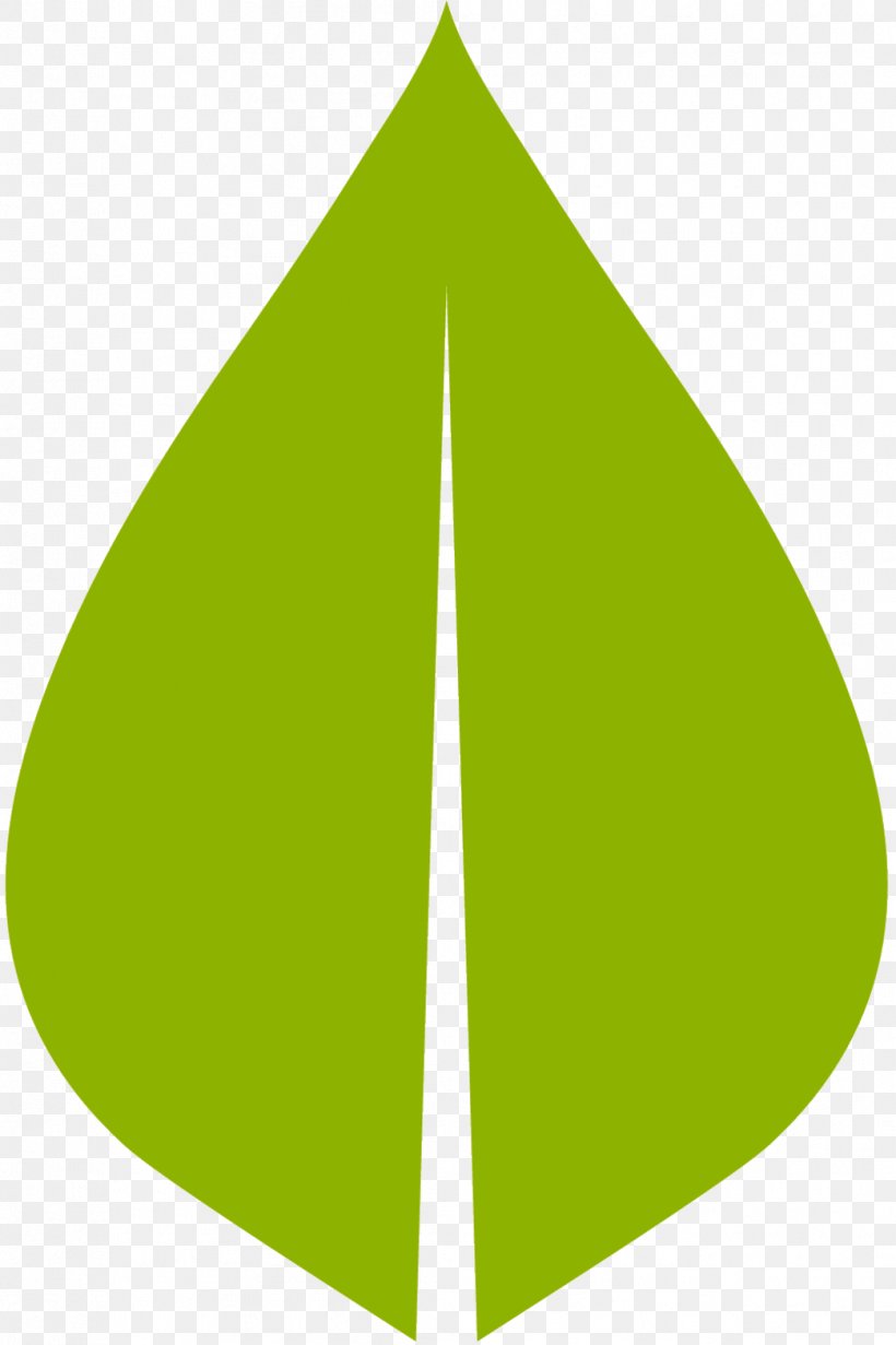 Leaf Product Design Line Angle Font, PNG, 1043x1567px, Leaf, Evergreen, Green, Logo, Plant Download Free