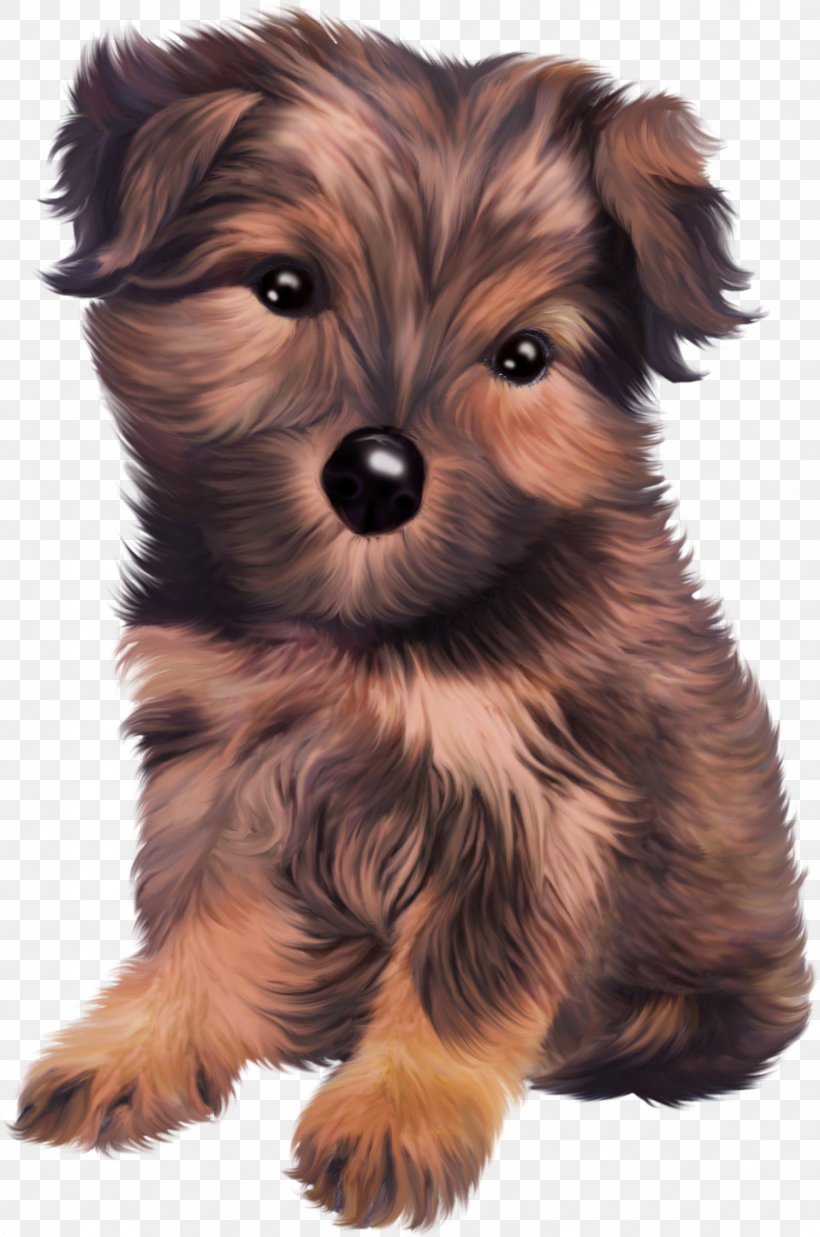 Puppy Yorkshire Terrier Rottweiler Papillon Dog Clip Art, PNG, 1502x2266px, Puppy, Animal, Australian Silky Terrier, Australian Terrier, Cairn Terrier Download Free
