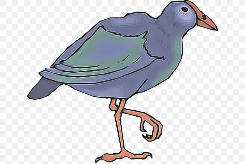 Bird Beak Rallidae Perching Bird, PNG, 640x550px, Bird, Beak, Perching Bird, Rallidae Download Free