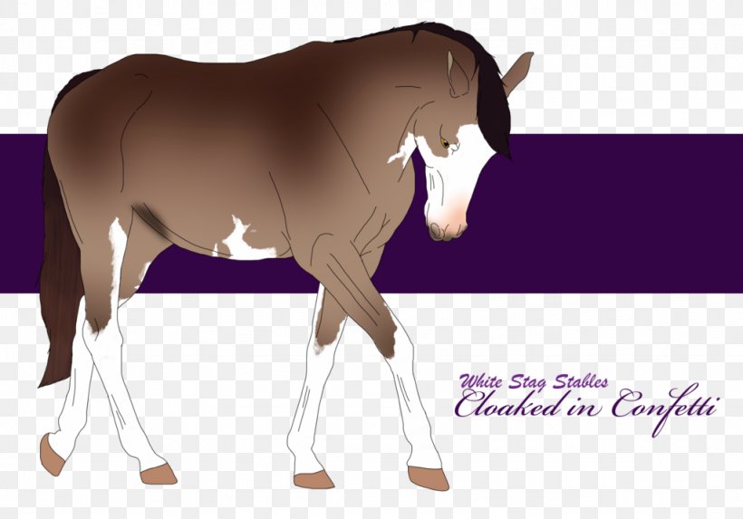Mule Foal Stallion Mare Halter, PNG, 1024x716px, Mule, Bit, Bridle, Colt, Florida Kraze Krush Soccer Club Download Free