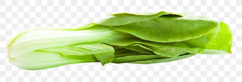 Bok Choy Romaine Lettuce Napa Cabbage, PNG, 2510x853px, Bok Choy, Cabbage, Chinese Cabbage, Food, Iphone Download Free