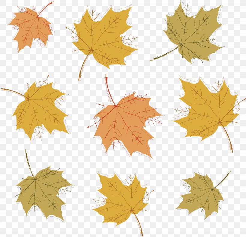 Autumn, PNG, 6924x6685px, Autumn, Color, Leaf, Maple Leaf, Photography Download Free